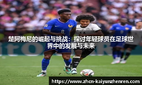 开云真人